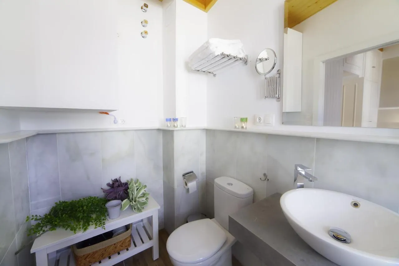 Green-Apartments Mansion Blue Catedral Seville 0*,